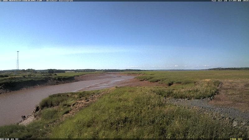 Windsor Salt Marsh