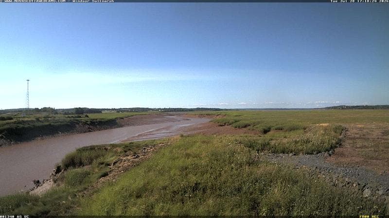 Windsor Salt Marsh