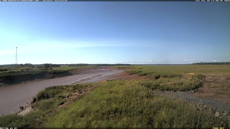 Windsor Salt Marsh