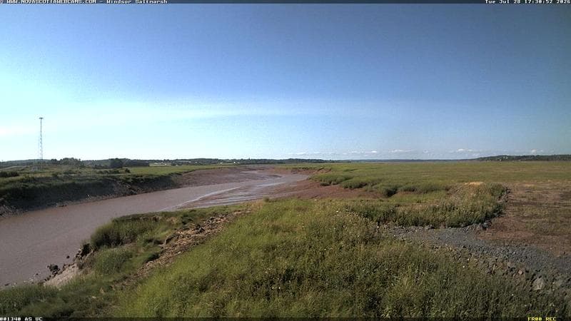 Windsor Salt Marsh