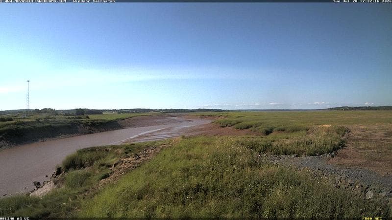 Windsor Salt Marsh