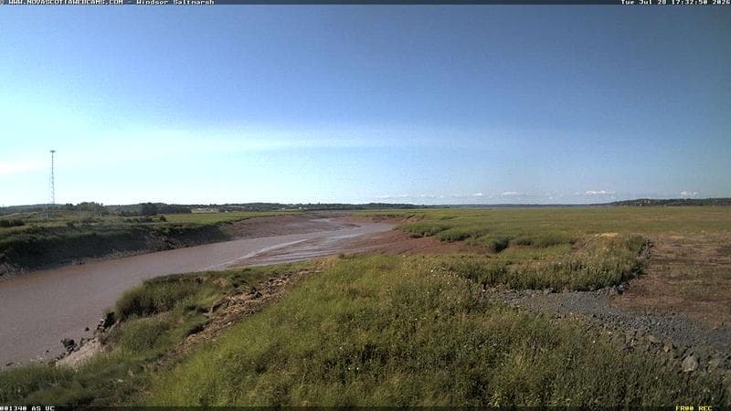 Windsor Salt Marsh