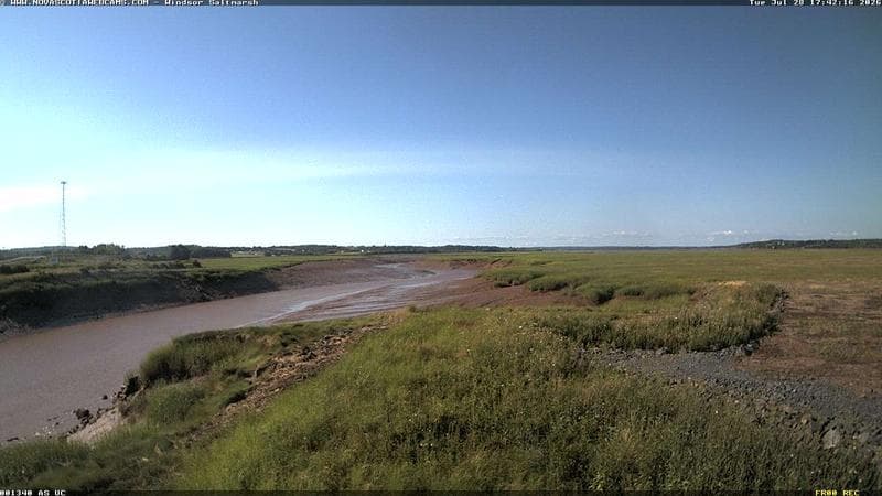 Windsor Salt Marsh
