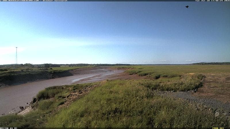 Windsor Salt Marsh