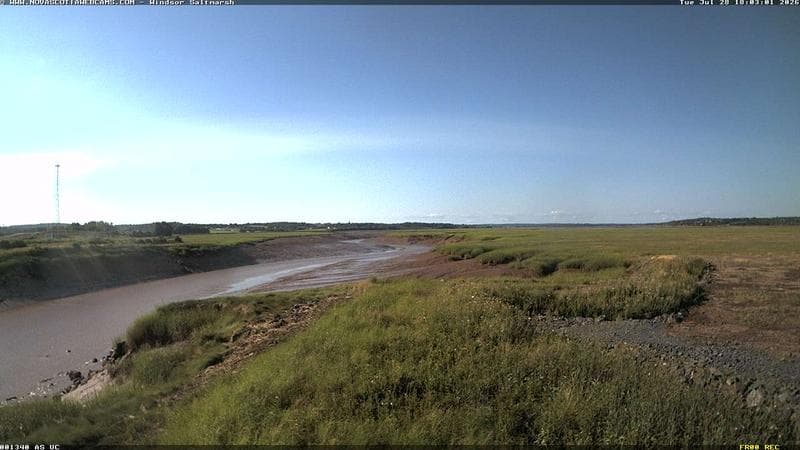 Windsor Salt Marsh