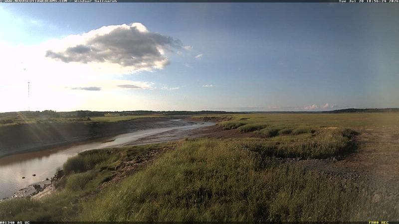 Windsor Salt Marsh