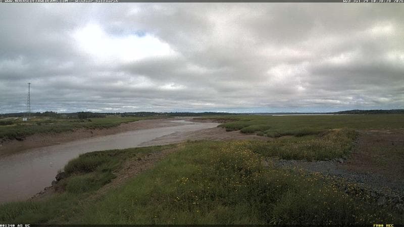 Windsor Salt Marsh