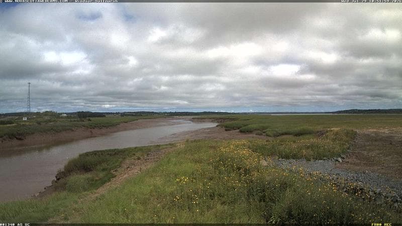 Windsor Salt Marsh