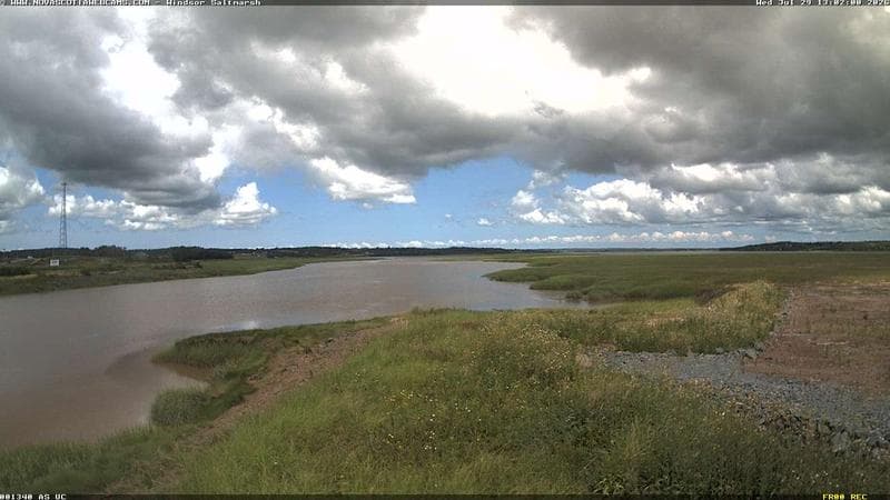 Windsor Salt Marsh