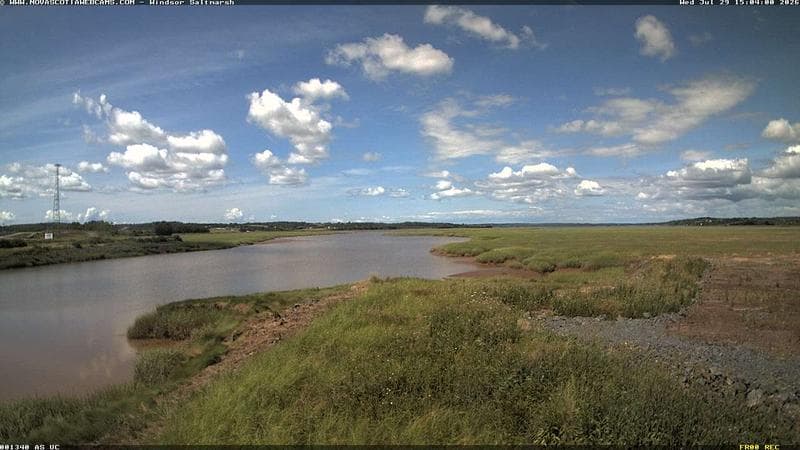 Windsor Salt Marsh