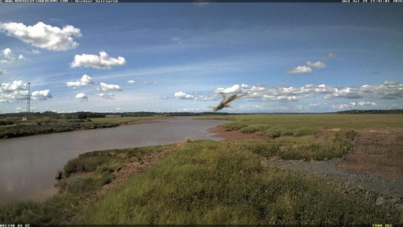 Windsor Salt Marsh