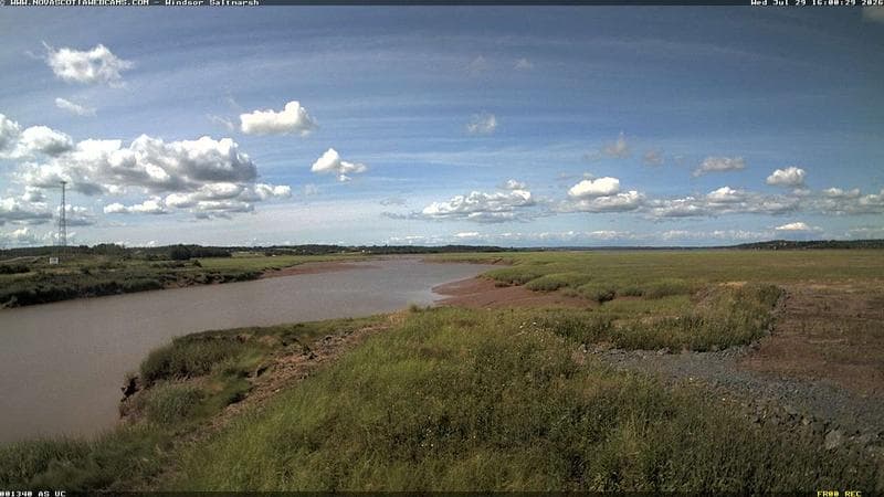 Windsor Salt Marsh