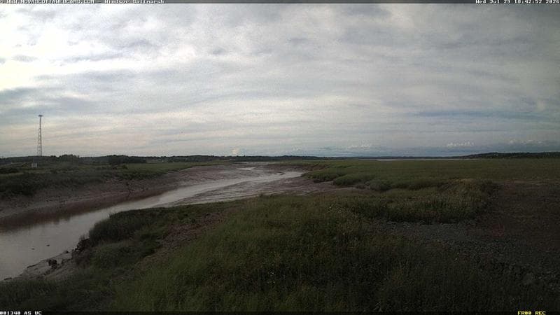 Windsor Salt Marsh