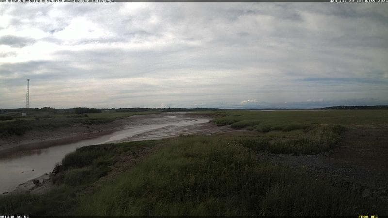 Windsor Salt Marsh