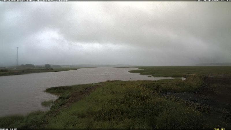 Windsor Salt Marsh