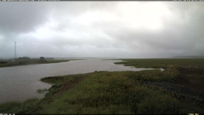 Windsor Salt Marsh