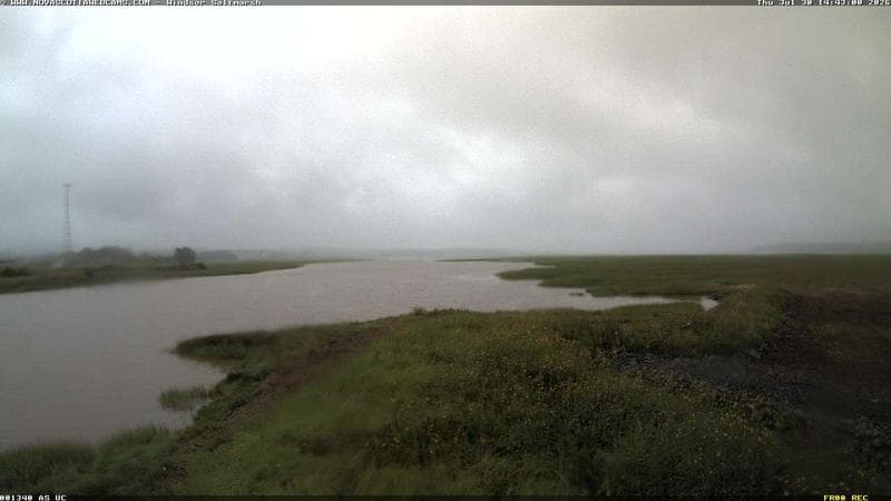 Windsor Salt Marsh