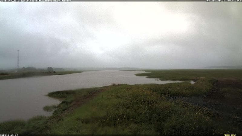 Windsor Salt Marsh