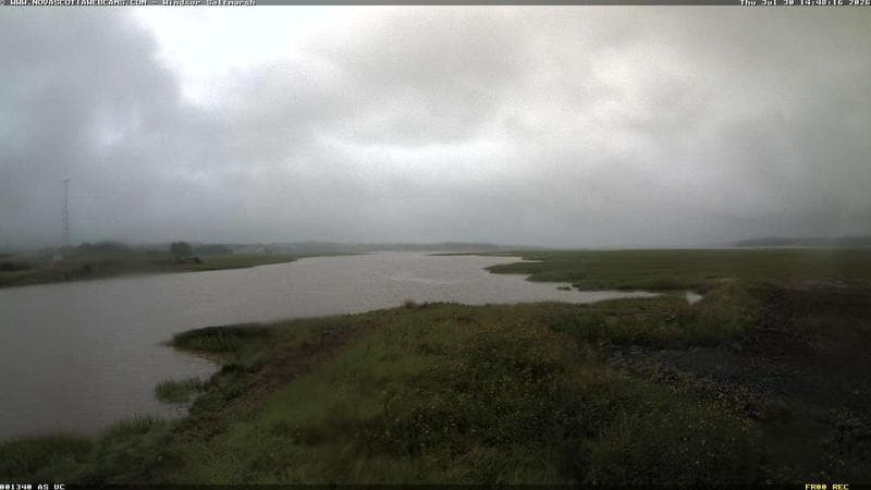 Windsor Salt Marsh