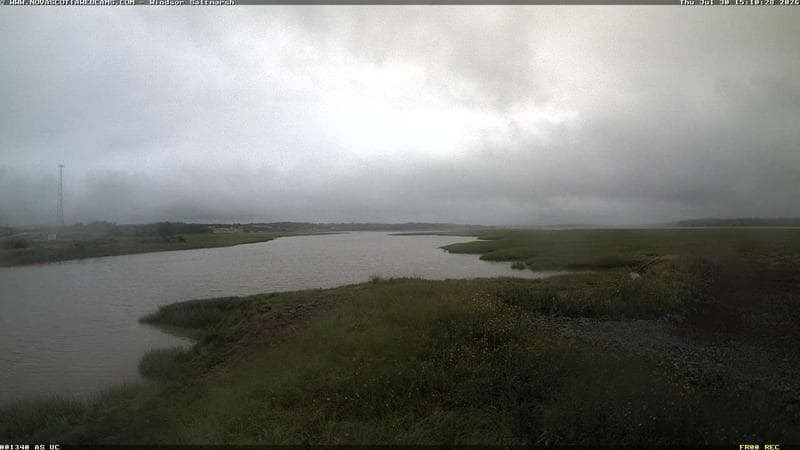 Windsor Salt Marsh