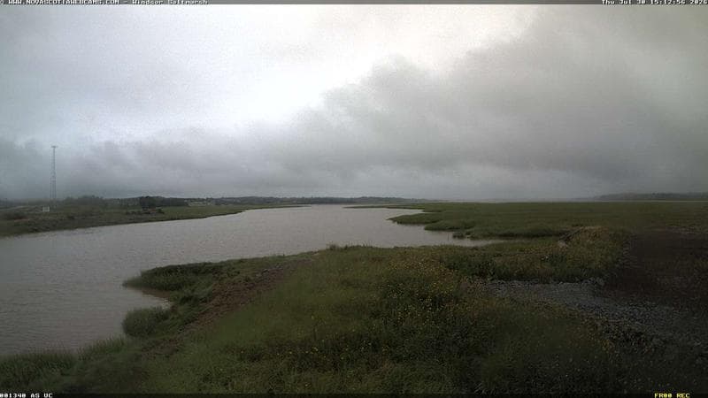 Windsor Salt Marsh