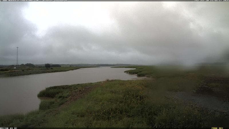 Windsor Salt Marsh
