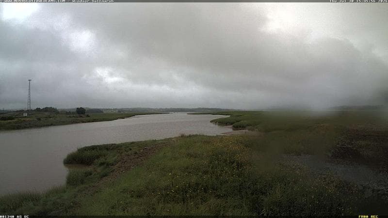 Windsor Salt Marsh