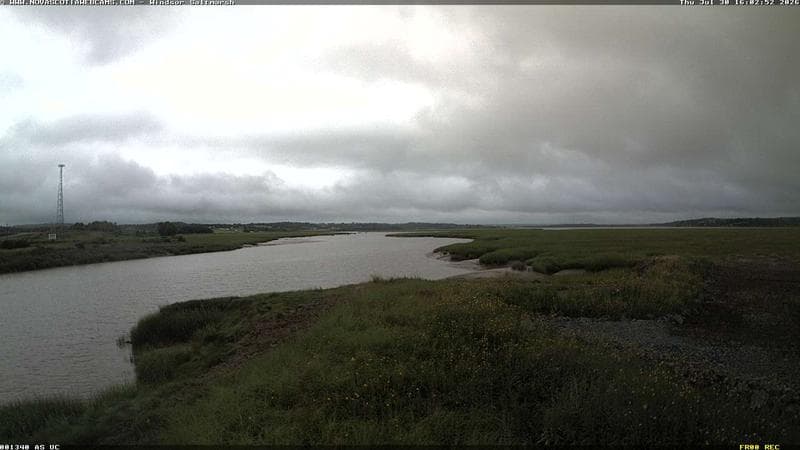 Windsor Salt Marsh