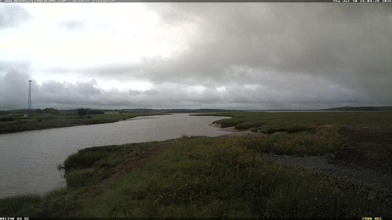 Windsor Salt Marsh