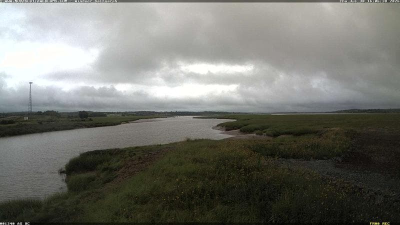 Windsor Salt Marsh