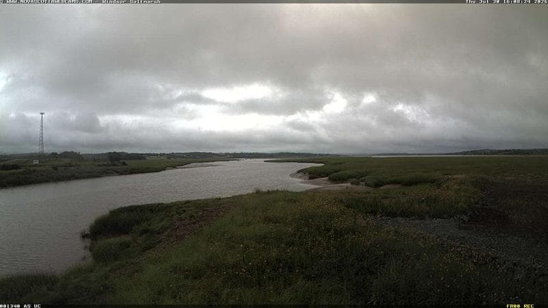 Windsor Salt Marsh