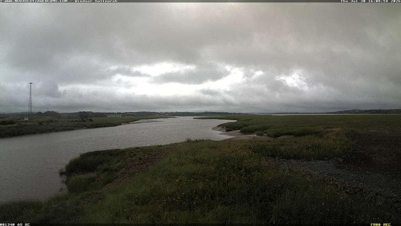 Windsor Salt Marsh