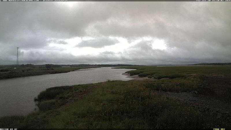 Windsor Salt Marsh