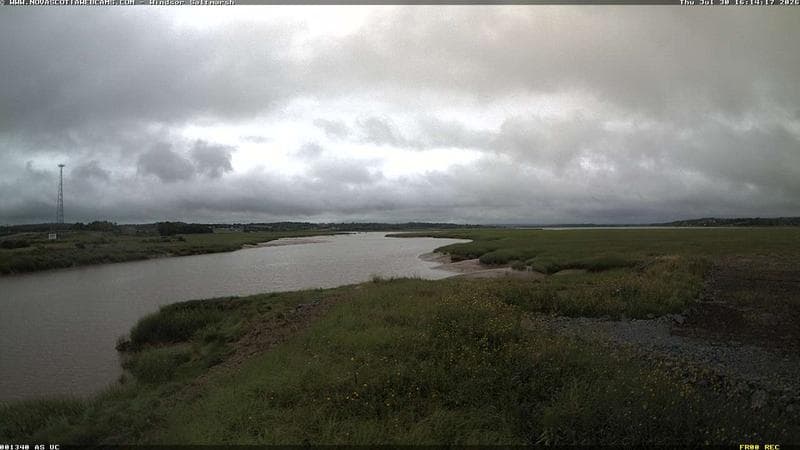 Windsor Salt Marsh