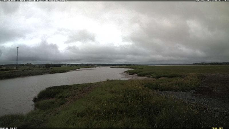 Windsor Salt Marsh