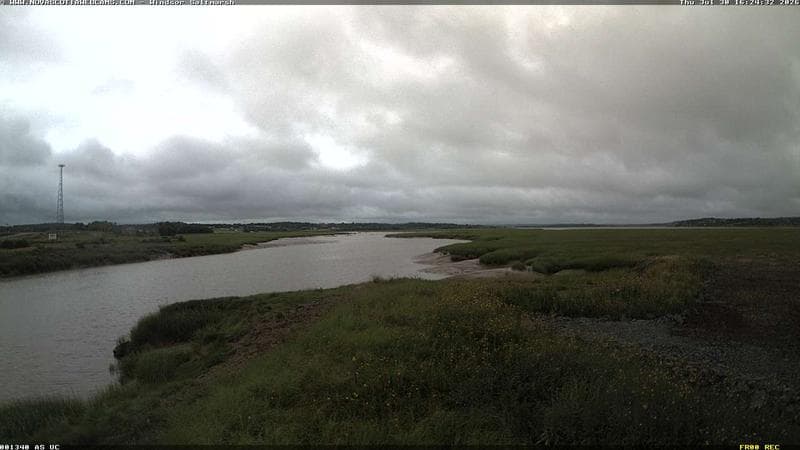 Windsor Salt Marsh