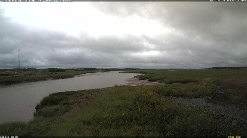 Windsor Salt Marsh