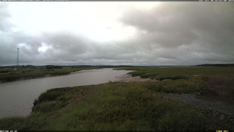Windsor Salt Marsh
