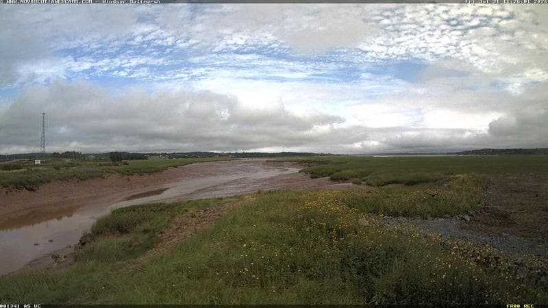 Windsor Salt Marsh