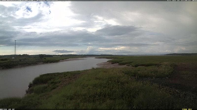 Windsor Salt Marsh