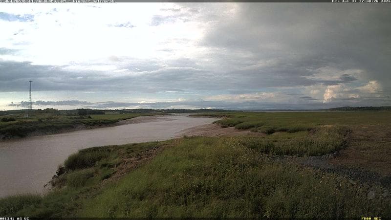 Windsor Salt Marsh