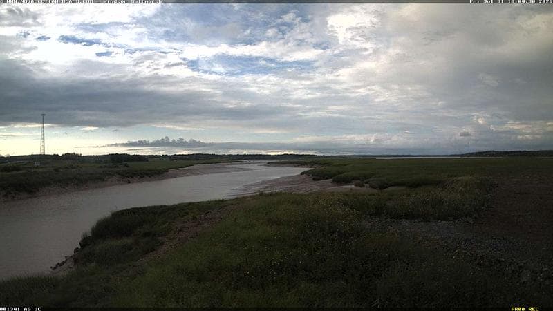 Windsor Salt Marsh