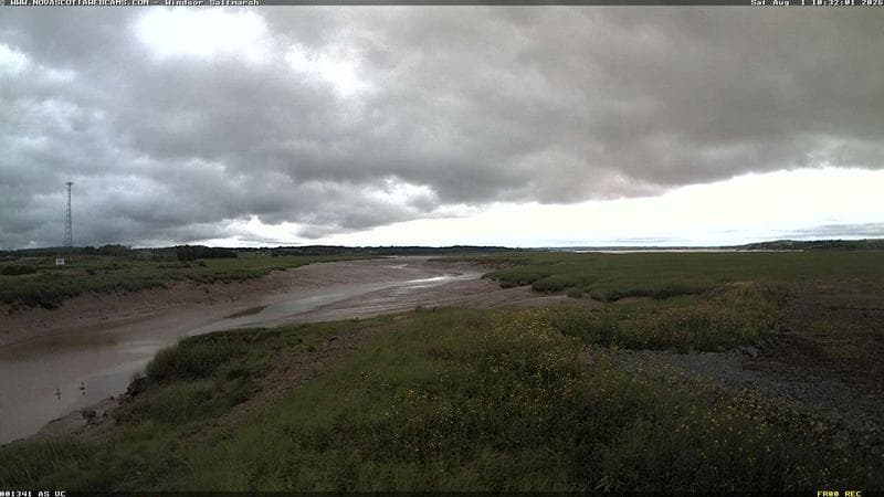 Windsor Salt Marsh