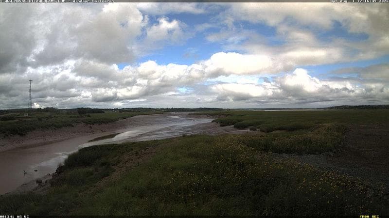 Windsor Salt Marsh