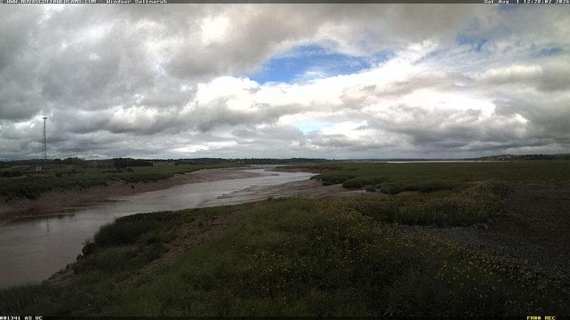 Windsor Salt Marsh