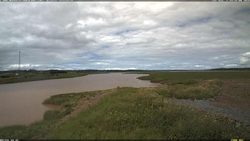 Windsor Salt Marsh