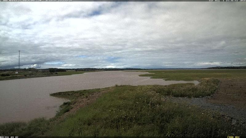 Windsor Salt Marsh