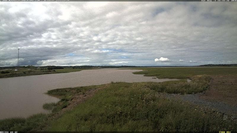 Windsor Salt Marsh