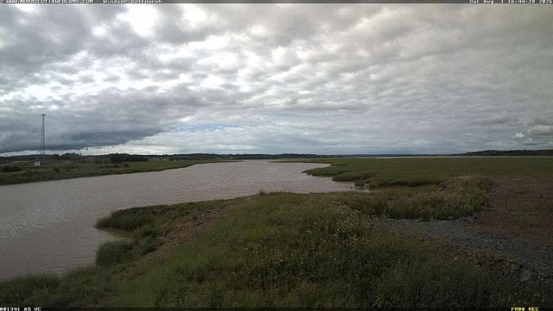 Windsor Salt Marsh
