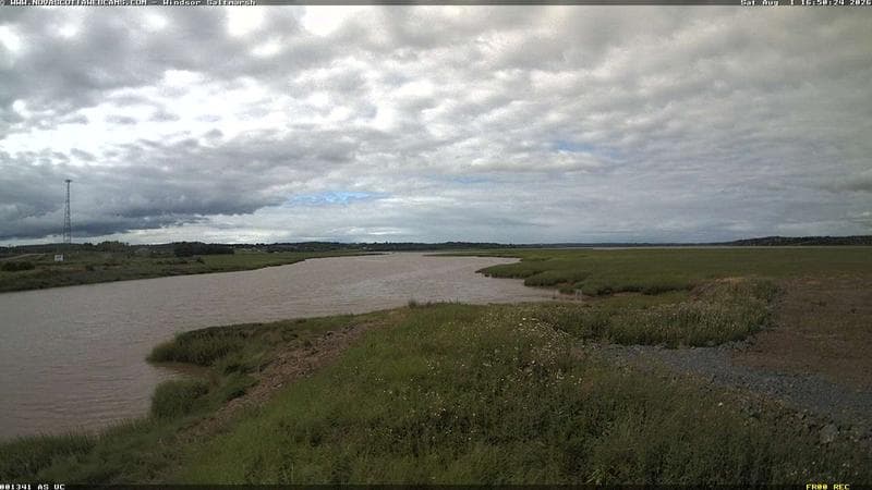 Windsor Salt Marsh